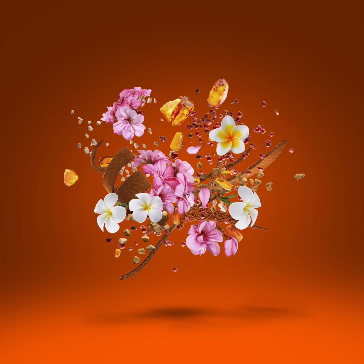 Fierezza by Xerjoff_100_ingredients Fierezza by Xerjoff_100_ingredients