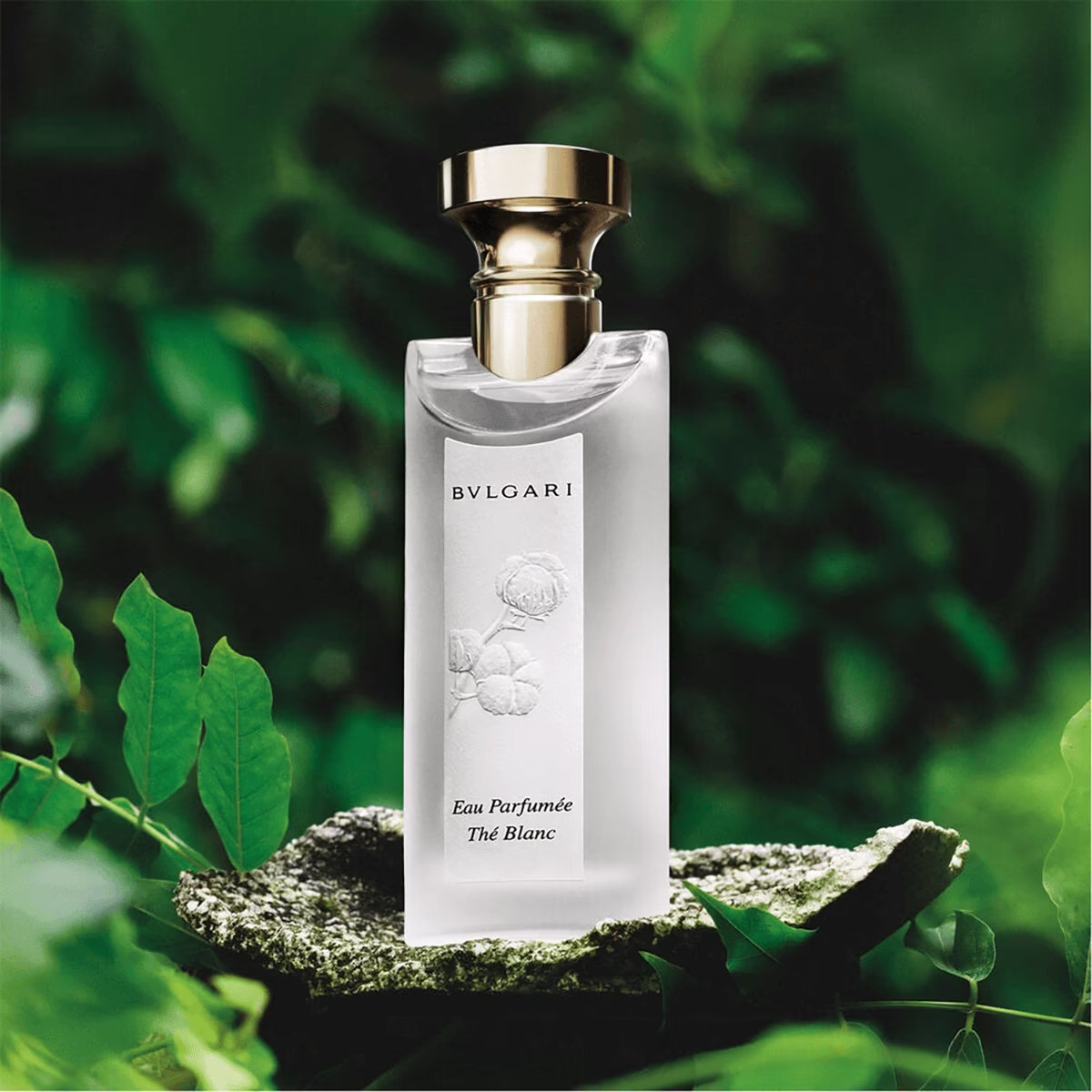 The Blanc by Bvlgari_75_mood