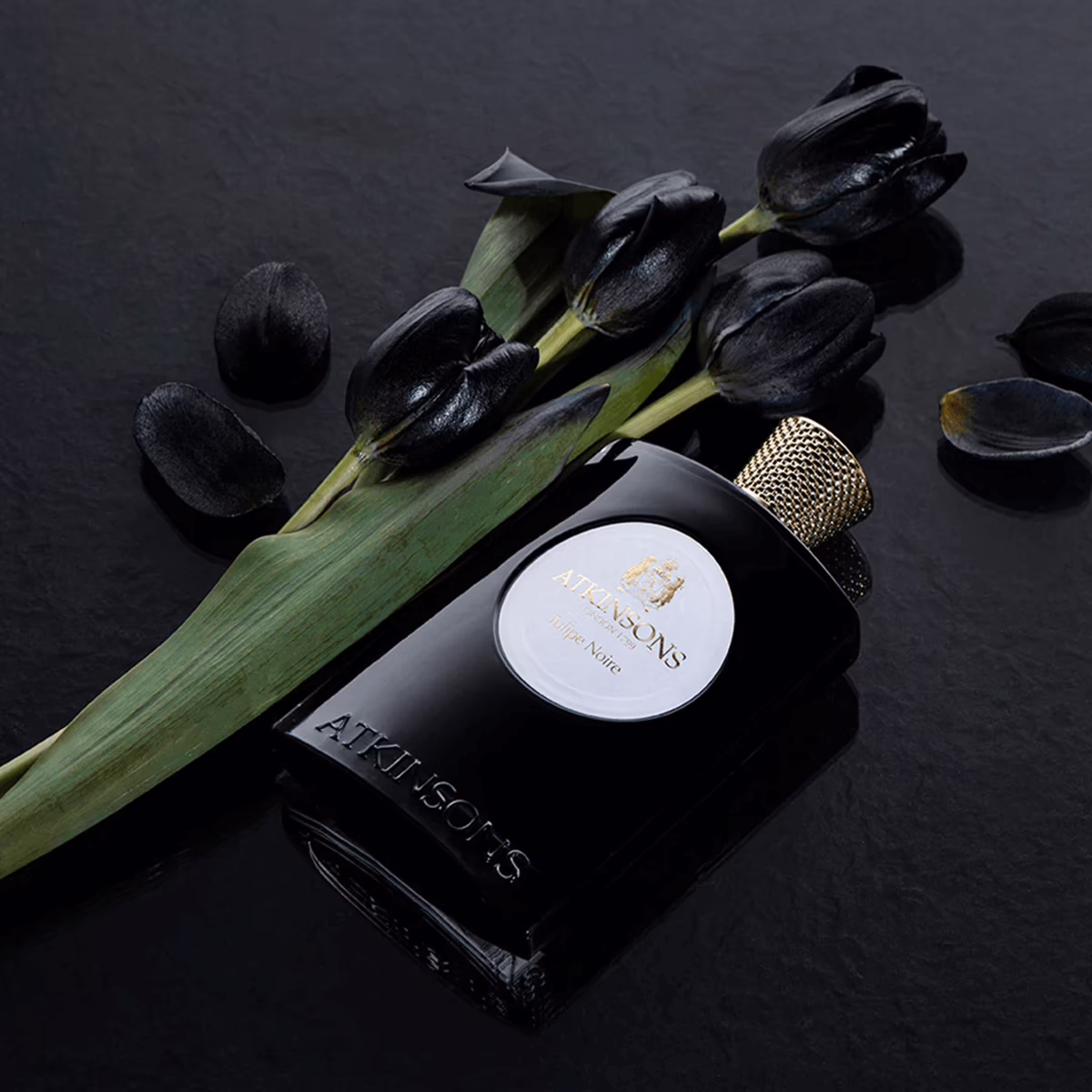 Tulipe Noir by Atkinsons_100_mood