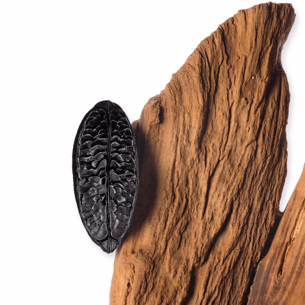 Parfums-de-Marly_Carlisle_125_ingredients Parfums-de-Marly_Carlisle_125_ingredients