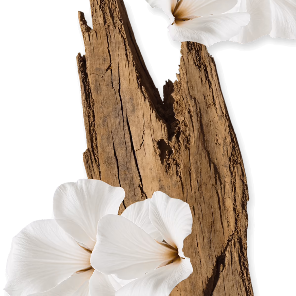 Valaya Hair Perfume by Parfums de Marly_75_ingredients