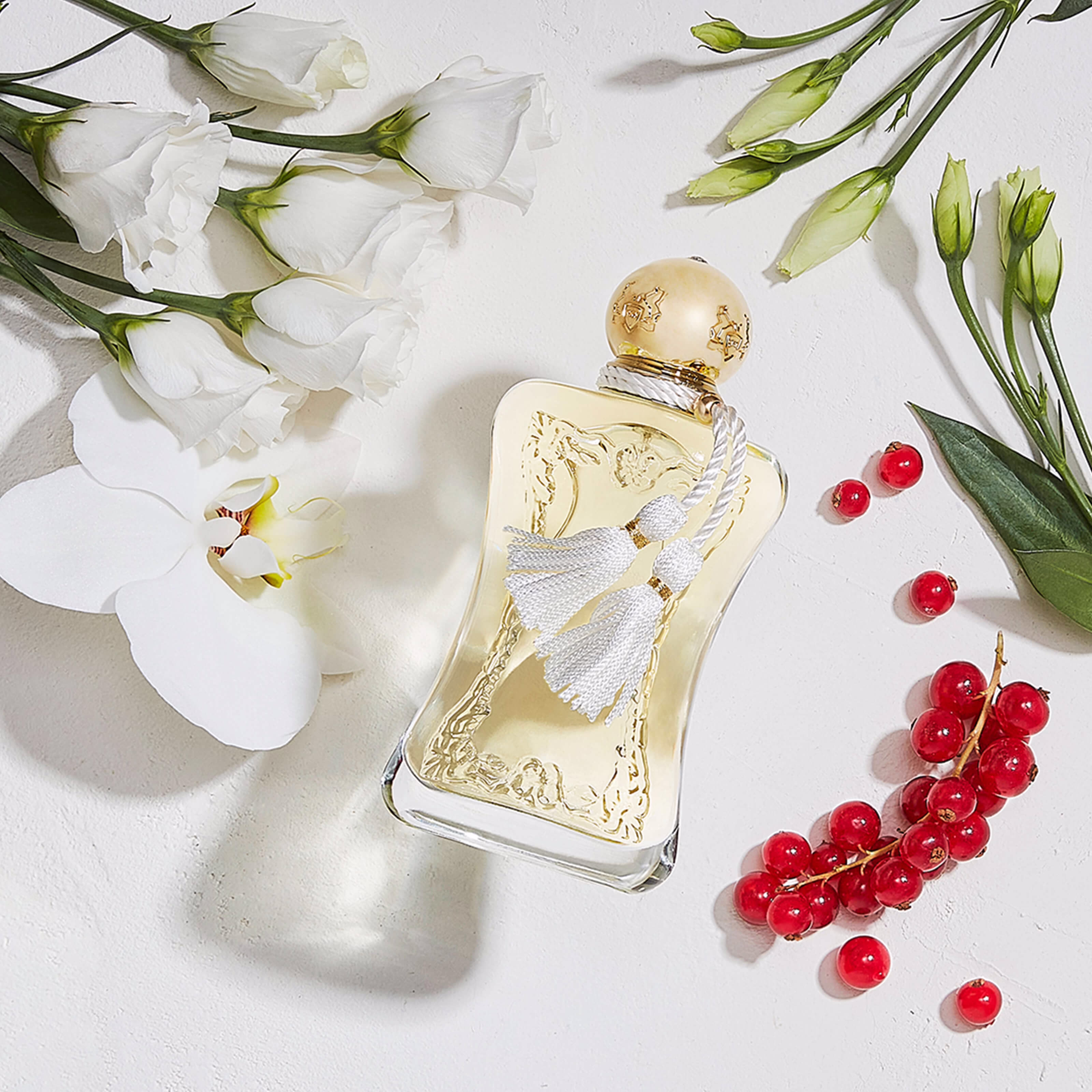 Parfums-de-Marly_Meliora_75_mood