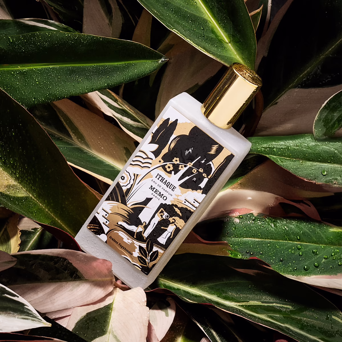 Ithaque by Memo, the explorer perfume