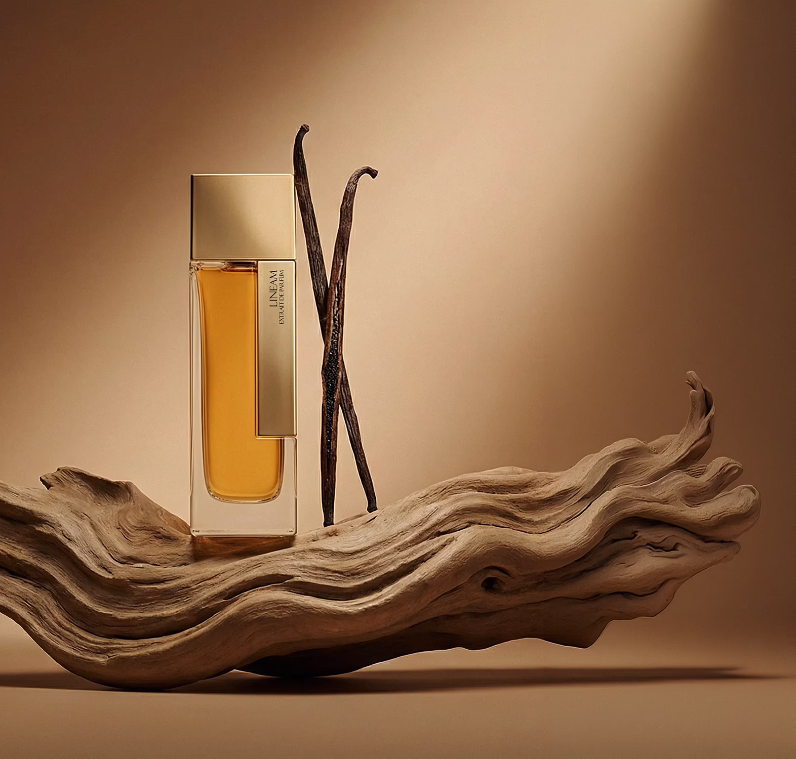 Lineam Mazzone Lineam Mazzone