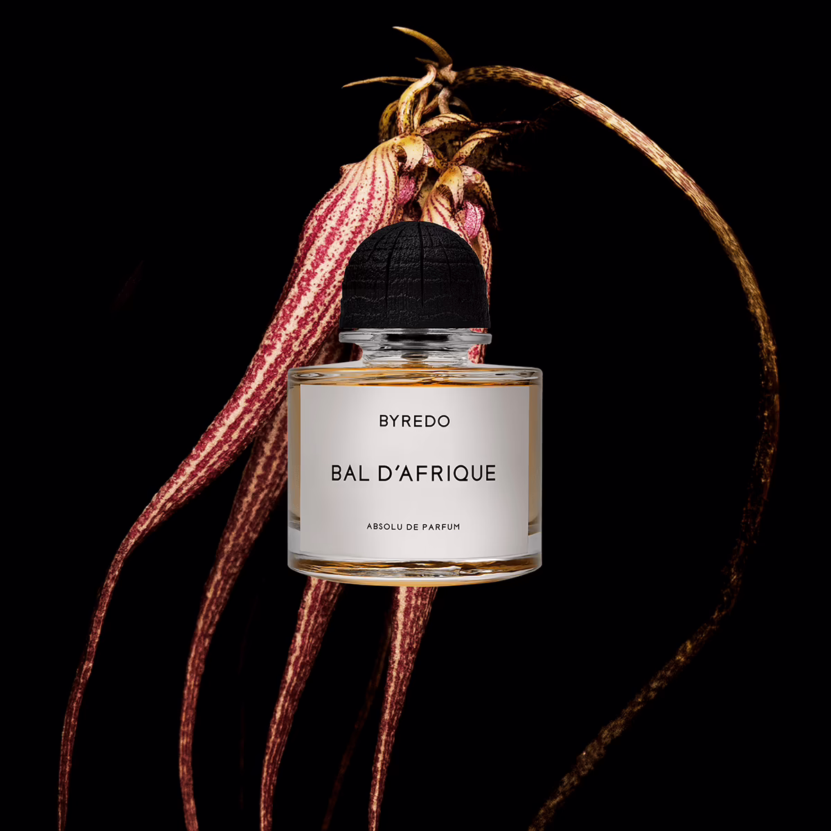 Bal D'afrique Byredo, Highlighted product in Brand Page