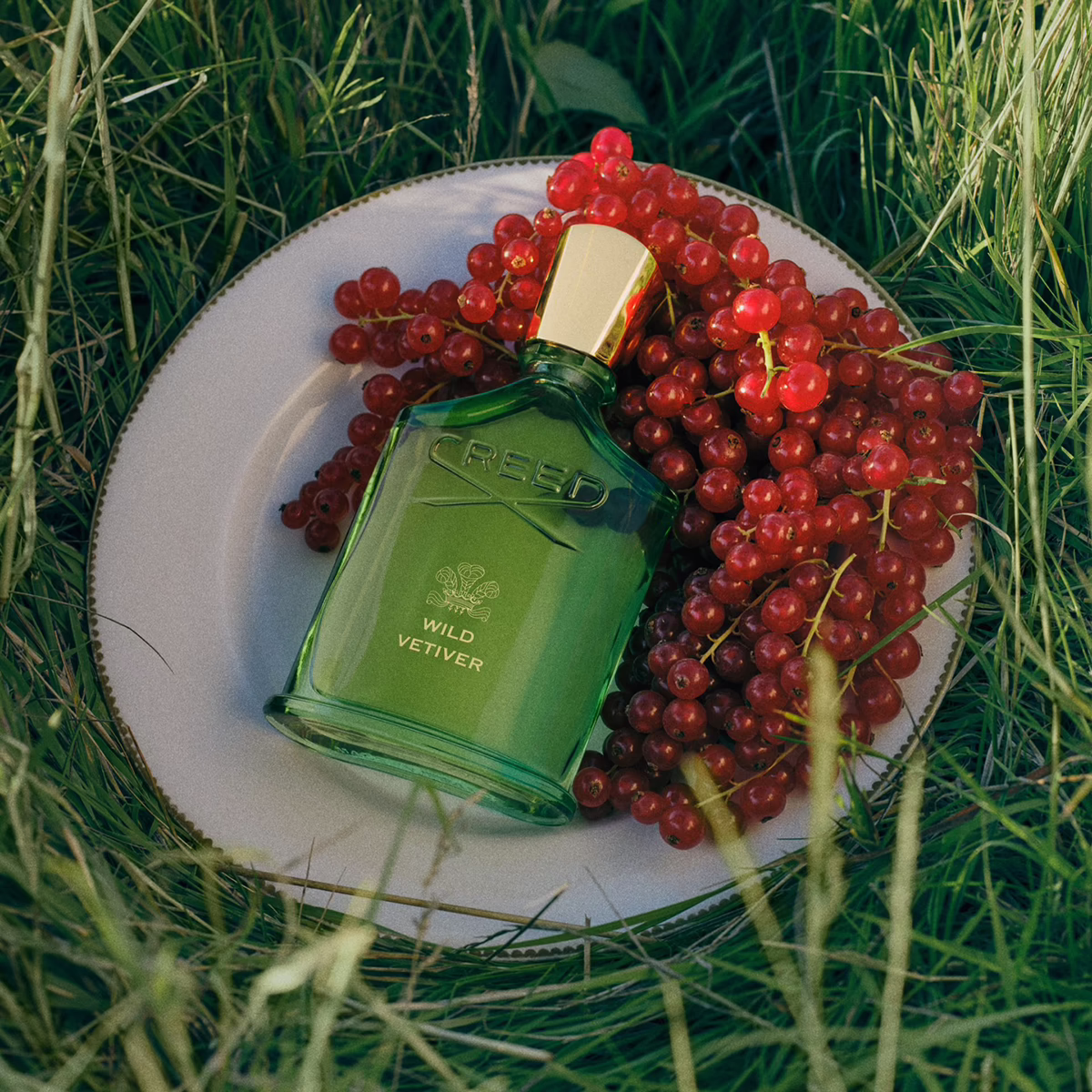 Wild Vetiver by Creed_100_mood