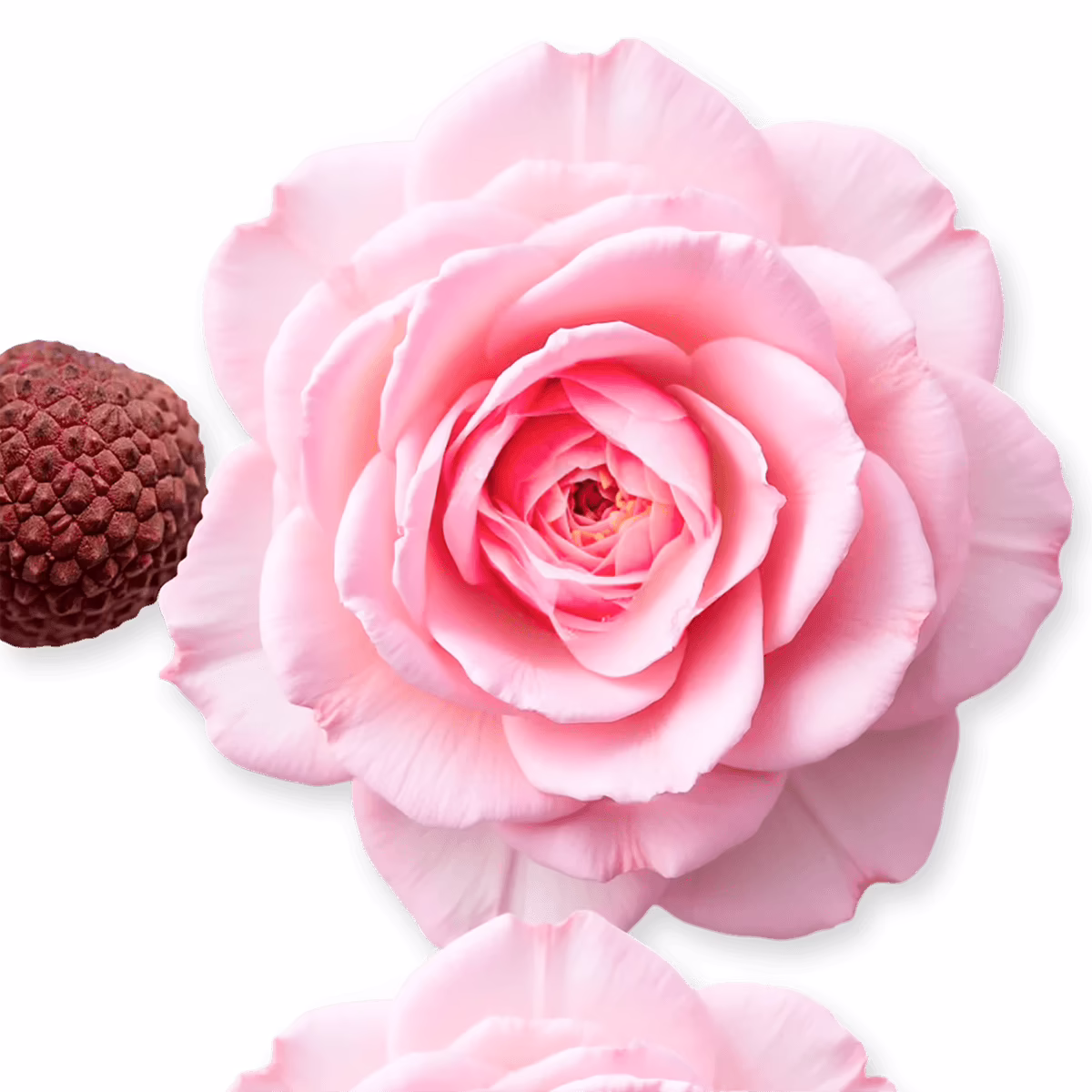 Delina Hair Perfume by Parfums de Marly_75_ingredients Delina Hair Perfume by Parfums de Marly_75_ingredients