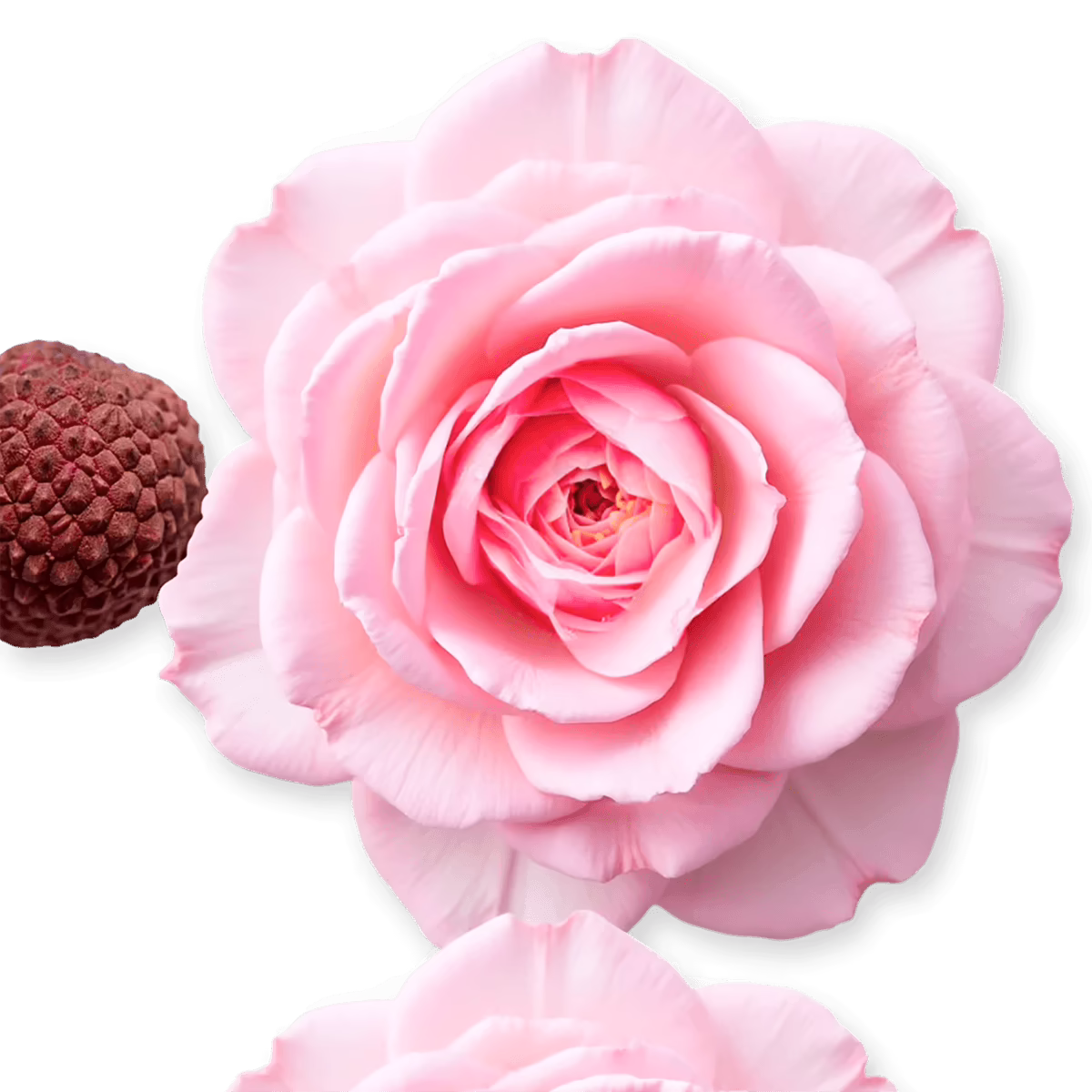 Delina Hair Perfume by Parfums de Marly_75_ingredients Delina Hair Perfume by Parfums de Marly_75_ingredients