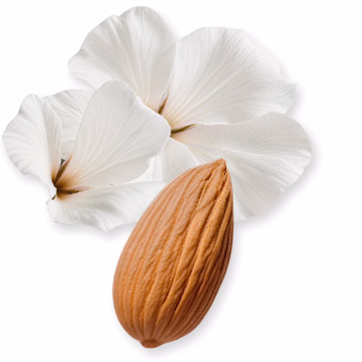 Valaya Exclusif by Parfums De Marly 75 ml, ingredients Valaya Exclusif by Parfums De Marly 75 ml, ingredients