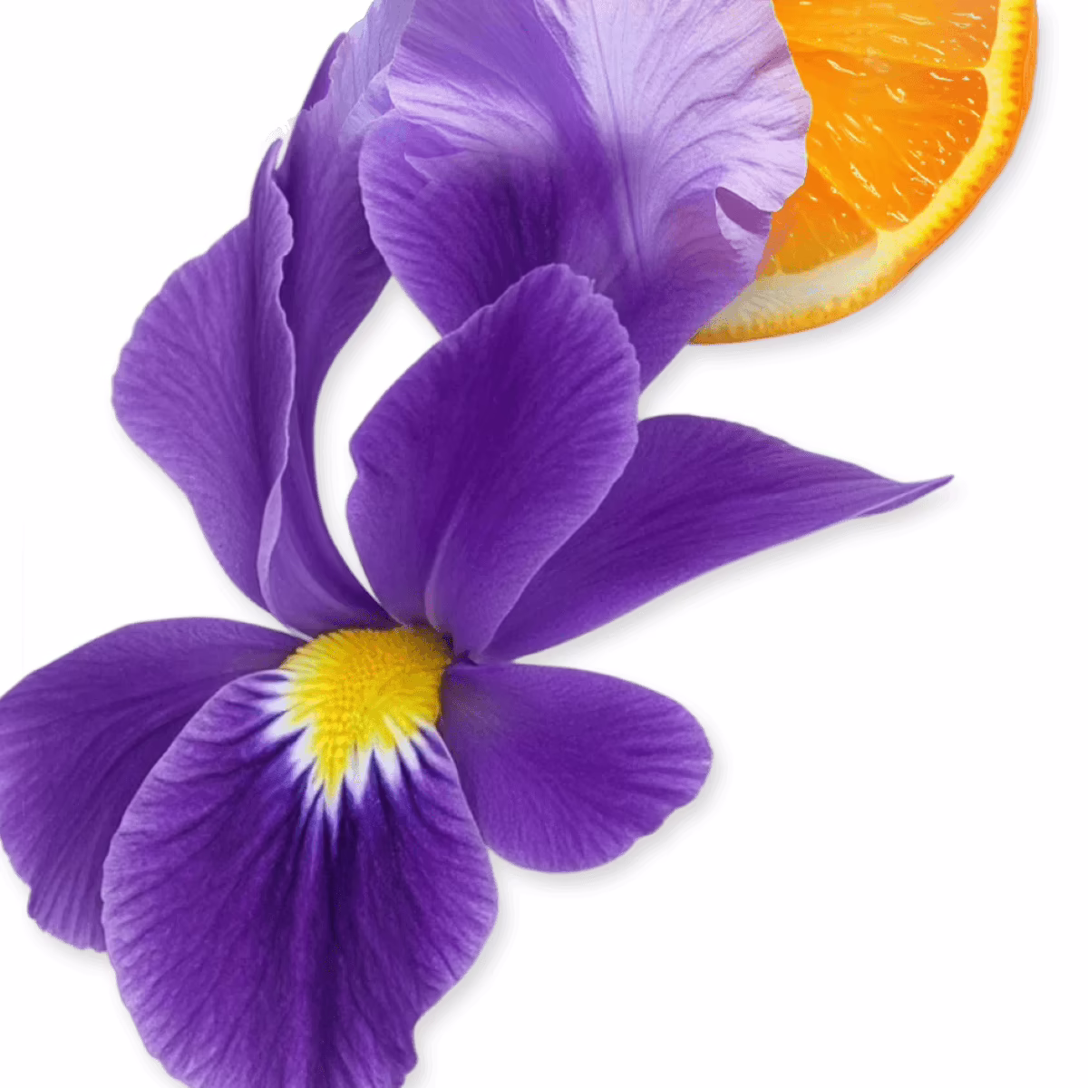 Athalia by Parfums De Marly 75 ml, ingredients Athalia by Parfums De Marly 75 ml, ingredients