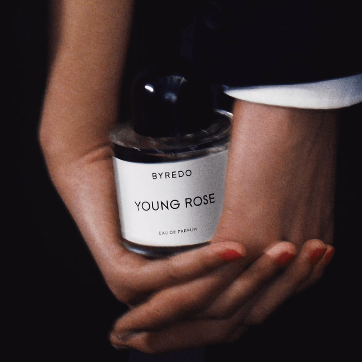Young Rose Byredo_100_mood 2