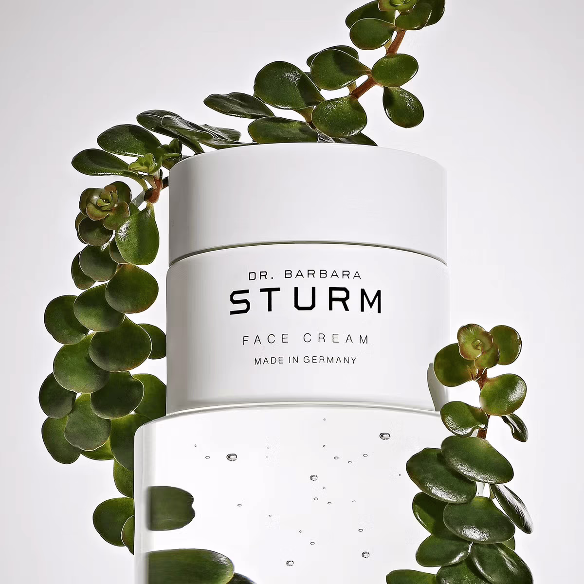 Face Cream by Dr. Barbara Sturm_50_mood 2